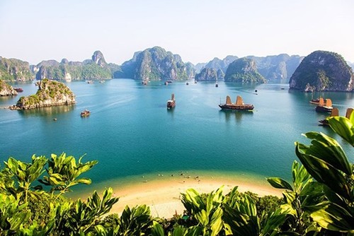 Vietnam among most searched tourist destinations on Google by Australians - ảnh 1