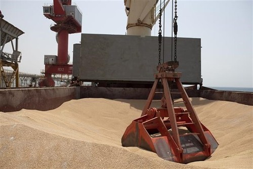Russia suspends its participation in UN-brokered grain export deal with Ukraine - ảnh 1