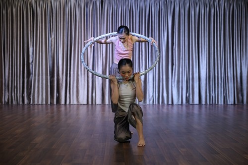 Singapore dance fest comes to HCM City - ảnh 1