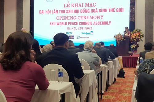 International solidarity is important to Vietnam’s construction and defense - ảnh 1