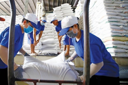 Rice exports set for major breakthroughs in 2023 - ảnh 1