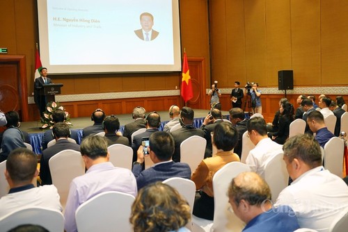 CEPA: Leverage to promote Vietnam-UAE economy, trade - ảnh 1