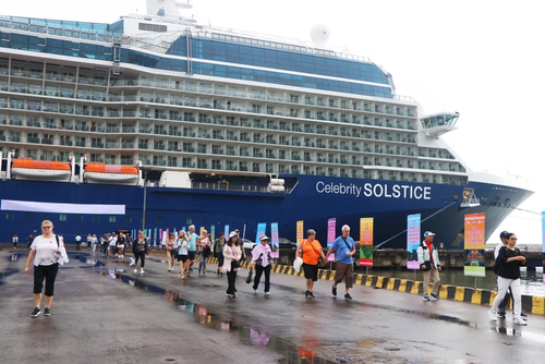 Central region to attract more cruise tourists - ảnh 1