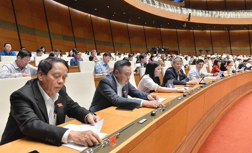 Национальное собрание Вьетнама примет некоторые резолюции и законы - ảnh 1