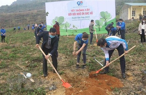 ЦК Союза коммунистической молодежи имени Хо Ши Мина дал старт Месячнику молодежи и кампанию по посадке деревьев 2021 года - ảnh 1