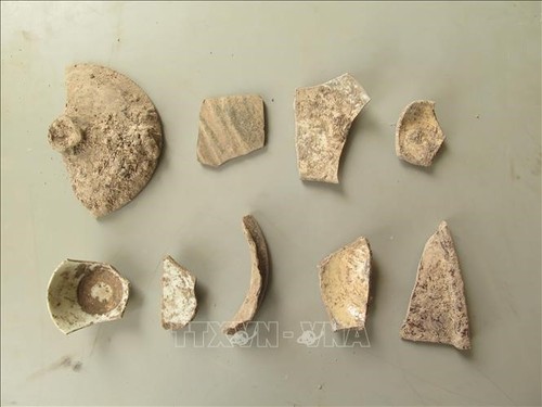 Обнародование выдающихся достижений в археологических исследованиях Вьетнама за последние 10 лет - ảnh 1