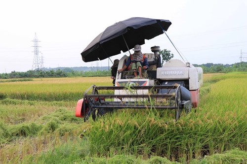 Иностранные СМИ: Вьетнам повышает уровень автоматизации в сельском хозяйстве  - ảnh 1