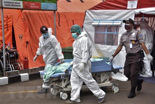 В Индонезии и РФ зафиксировано рекордное количество умерших от коронавируса за день             - ảnh 1