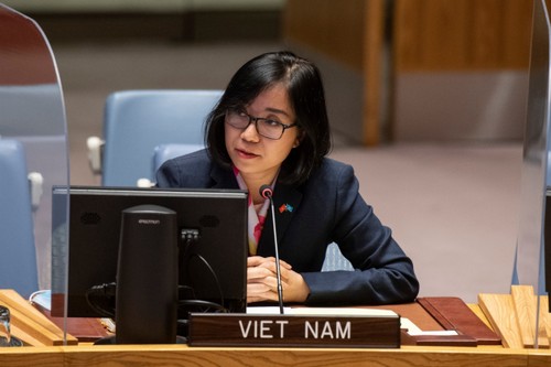 Вьетнам призвал принять срочные меры по урегулированию ситуации в Ливане - ảnh 1