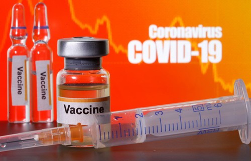 Международная ассоциация вьетнамских экспертов принимает участие в борьбе с коронавирусом в стране - ảnh 1