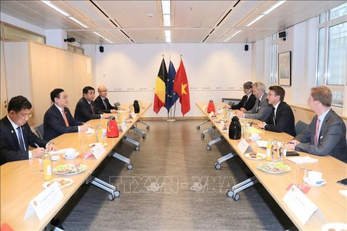 Глава вьетнамского парламента Выонг Динь Хюэ провел встречу с вице-премьером Бельгии  - ảnh 1