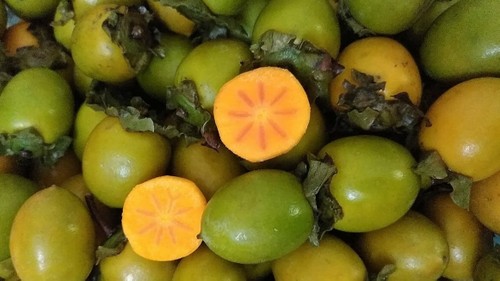 Маринованная хурма – простой осенний фрукт Ханоя - ảnh 1