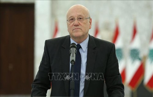Парламент Ливана принял решение провести досрочные всеобщие выборы - ảnh 1