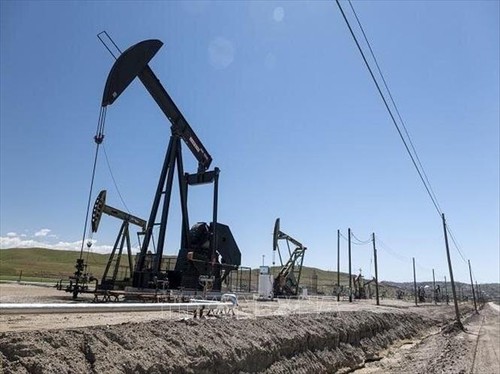 ОПЕК спрогнозировал рост спроса на нефть в 2022 году - ảnh 1