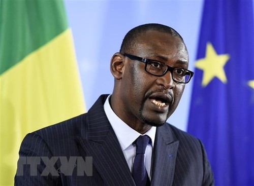 ECOWAS ввело дополнительные санкции в отношении Мали - ảnh 1