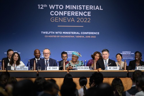 ВТО достигла консенсуса по историческому пакету торговых соглашений  - ảnh 1