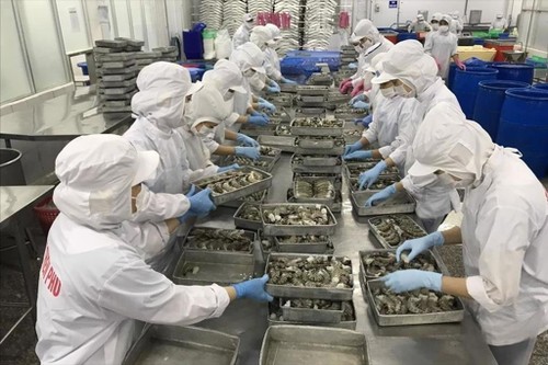 Экспорт вьетнамских морепродуктов значительно вырос  - ảnh 1