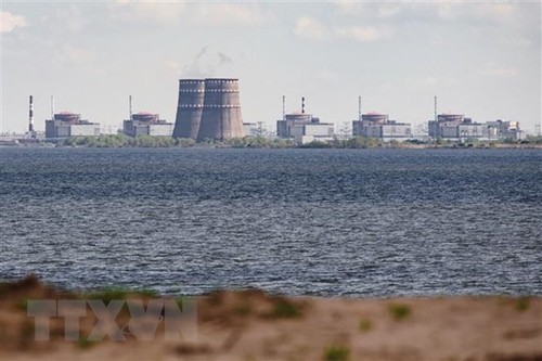 МАГАТЭ ищет меры обеспечения безопасности Запорожской АЭС - ảnh 1