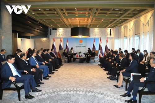 Президент Вьетнама Нгуен Суан Фук провел встречу с председателем Национальной ассамблеи Таиланда - ảnh 1