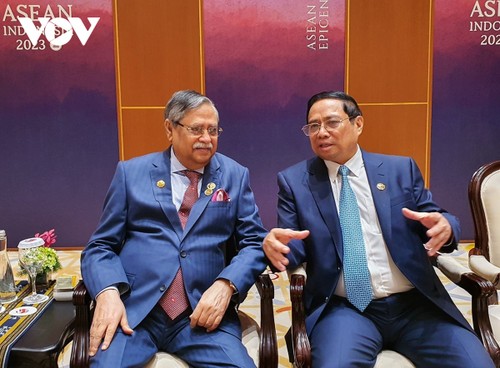 Премьер-министр Фам Минь Тинь провел встречи с руководителями ряда стран и генсеком ООН  - ảnh 2