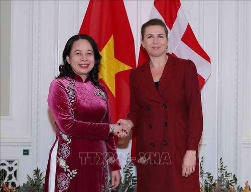Успешно завершился официальный визит вице-президента Во Тхи Ань Суан в Данию и Норвергию  - ảnh 1