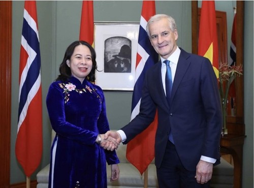 Успешно завершился официальный визит вице-президента Во Тхи Ань Суан в Данию и Норвергию  - ảnh 2