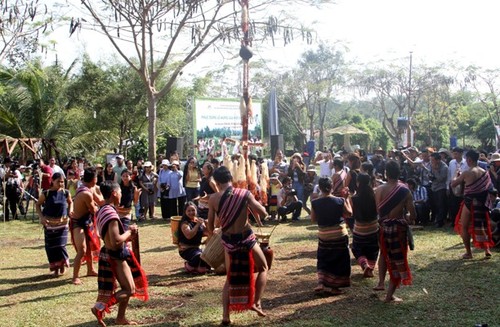 Церемония установки водного желоба народности Соданг - ảnh 1