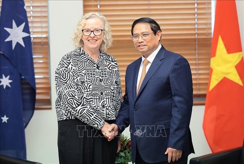 Премьер-министр Фам Минь Тинь провел встречи с руководителями Австралии - ảnh 1