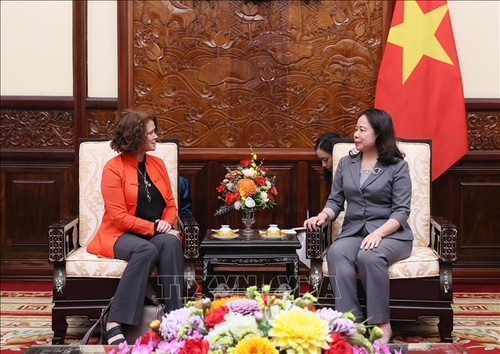 Временно исполняющая обязанности президента Во Тхи Ань Суан приняла директора ВБ во Вьетнаме  - ảnh 1