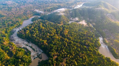 Национальный парк Каттиен – место охраны природы и сохранения биоразнообразия во Вьетнаме - ảnh 1