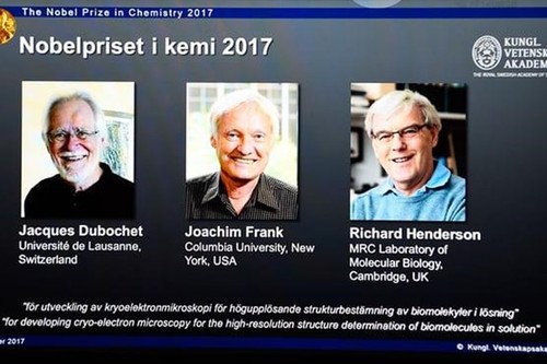 Nobel Hóa học 2017 vinh danh công trình phát triển kính hiển vi điện tử nghiệm lạnh - ảnh 1