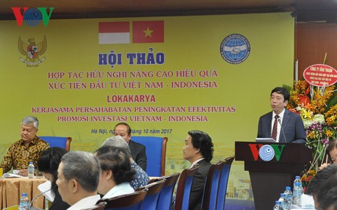 Nâng cao hiệu quả hợp tác đầu tư Việt Nam - Indonesia - ảnh 1