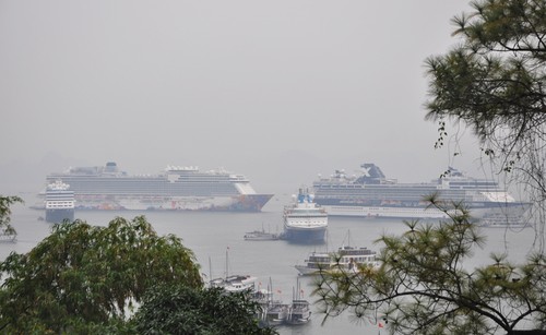 4 tàu biển quốc tế đưa hơn 6.200 du khách đến Hạ Long - ảnh 2