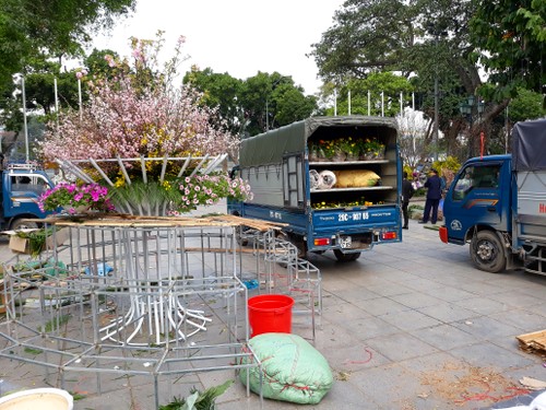 Cận cảnh chuẩn bị Lễ hội hoa anh đào 2018 tại Hà Nội - ảnh 1