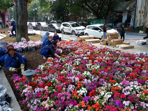 Cận cảnh chuẩn bị Lễ hội hoa anh đào 2018 tại Hà Nội - ảnh 5