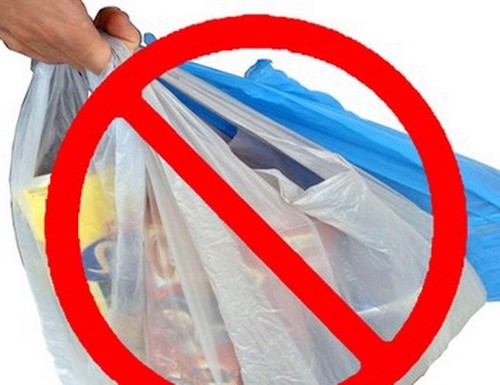 Chống ô nhiễm rác thải nhựa: Nếu bạn không tái sử dụng, hãy ngừng sử dụng - ảnh 5