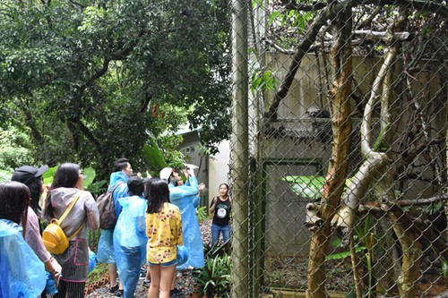 Hành trình Trại hè Việt Nam 2018: Thăm vườn Quốc gia Cúc phương và Quê Bác Nghệ An - ảnh 3