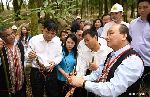 Thủ tướng Nguyễn Xuân Phúc làm việc với tỉnh Kon Tum - ảnh 2