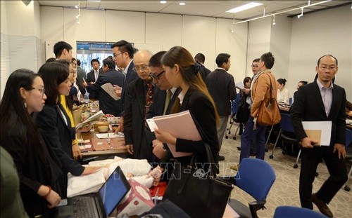 Thúc đẩy cơ hội hợp tác thương mại Việt Nam – Nhật Bản - ảnh 1