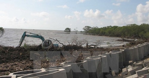 Quy hoạch biển và cải thiện điều kiện môi trường vùng bờ Đồng bằng sông Cửu Long - ảnh 1