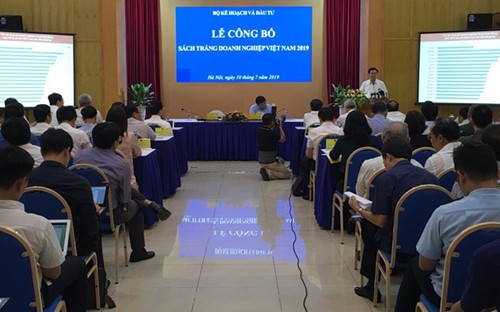 Lần đầu tiên công bố Sách trắng doanh nghiệp Việt Nam năm 2019 - ảnh 1