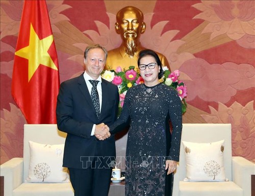 Chủ tịch Quốc hội Nguyễn Thị Kim Ngân tiếp Đại sứ Bruno Angetlet - ảnh 1