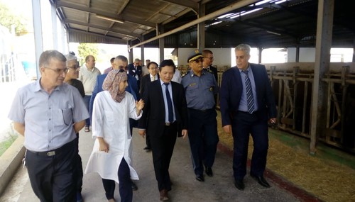 Đại sứ quán Việt Nam xúc tiến thương mại và đầu tư tại tỉnh Tipaza của An-giê-ri - ảnh 4