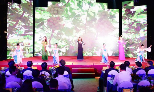 Ngày văn hóa, du lịch Ninh Thuận tại Hà Nội - ảnh 1