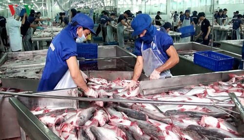 Cơ hội thuận lợi để ngành cá tra Việt Nam tiến vào thị trường Mỹ - ảnh 1