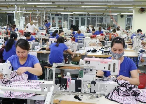 ECA: Việt Nam dẫn đầu Đông Nam Á về tăng trưởng lương - ảnh 1