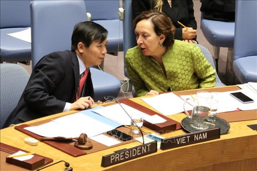 Việt Nam chủ trì phiên họp về củng cố hòa bình ở Tây Phi - ảnh 1
