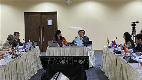 Việt Nam chủ trì phiên họp Hội đồng điều hành Viện Hòa bình và hòa giải ASEAN - ảnh 1