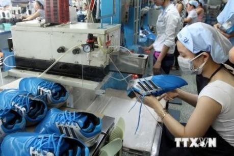 Nhiều cơ hội cho ngành da giày đạt mục tiêu kim ngạch xuất khẩu 24 tỷ USD - ảnh 1