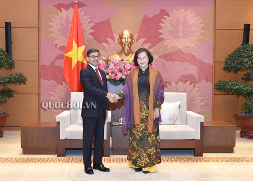 Chủ tịch Quốc hội Nguyễn Thị Kim Ngân tiếp Đại sứ Ấn Độ Pranay Verma - ảnh 1